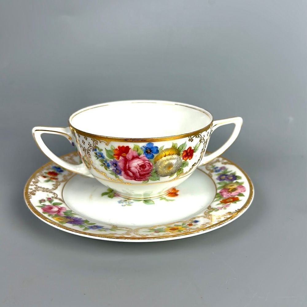 Vintage Rosenthal Bavaria The Dresden Porcelain Bouillon Cup & Saucer Floral